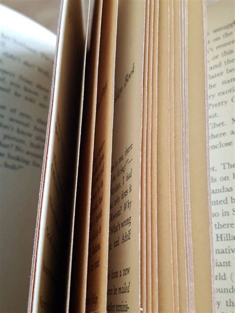 Never Trust A Naked Bus Driver By Jack Douglas Paper Back Etsy Canada