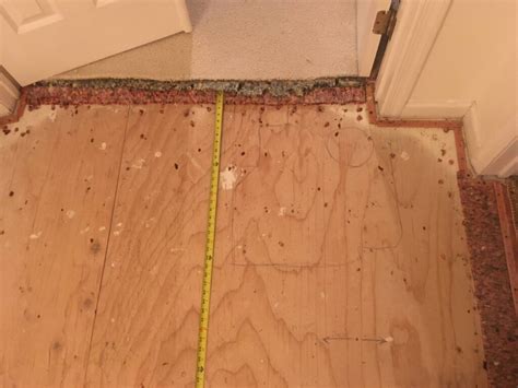 We Fix Squeaky Floors Floorboards 310 736 2018 Revive Carpet