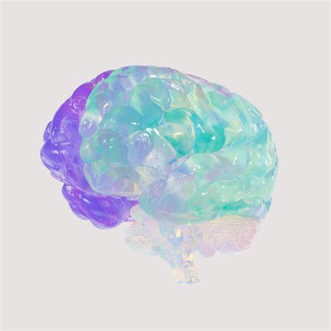 Best Memory Apps of 2025: The Best Ways to Train Your Brain and Improve