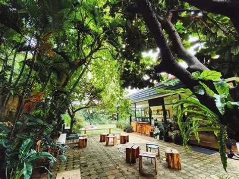 15 Cafe Di Bintaro Yang Super Cozy Dengan Menu Yang Enak