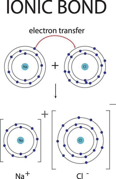 Ionic bonding diagram for chemistry education 28281612 Vector Art at ...