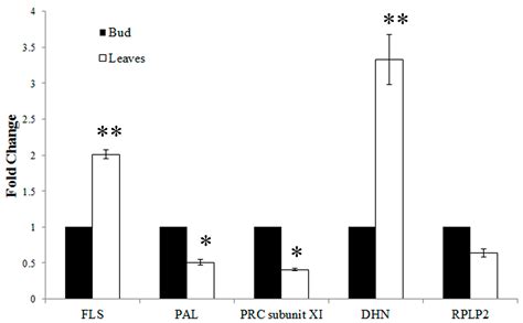 Ijms Free Full Text A Comparative Proteomic Analysis Of The Buds