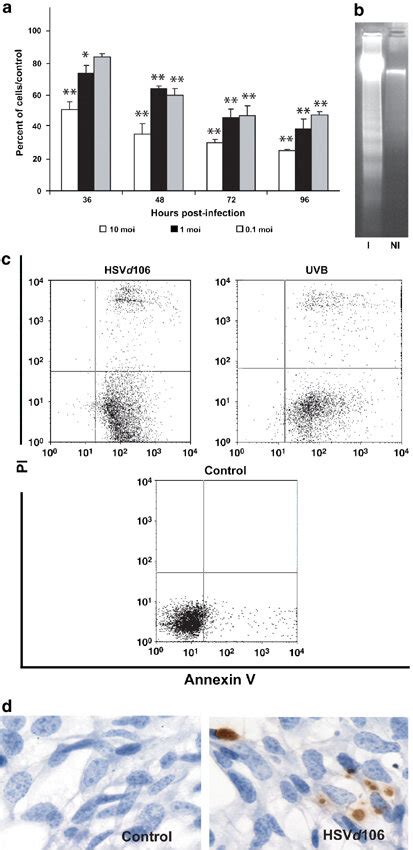 Cytotoxic Effect Of HSVd106 In Vitro A ID8 VEGF Cells Were Exposed