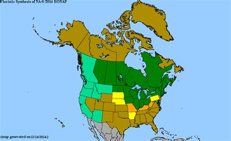 Bonap North American Plant Atlas Taxonmaps