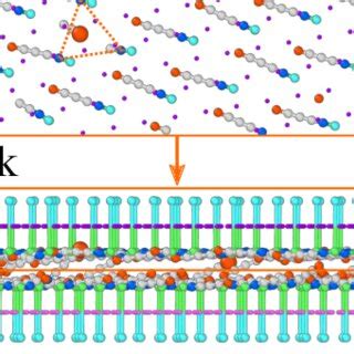 Side View Of A Snapshot Of The Contacting Zwitterionic Brushes At T 0