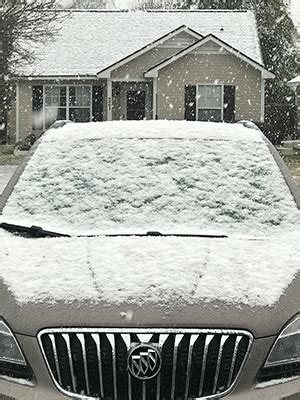 Snow In Florida: Pics Of Tallahassee Having A White, Frosty Winter ...