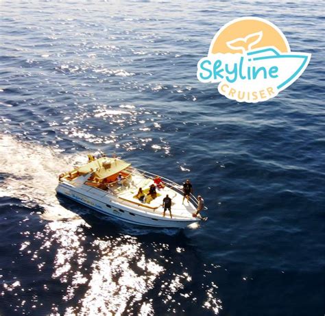 Skyline Cruiser Tenerife Yacht Whale And Dolphin Watching Excursions