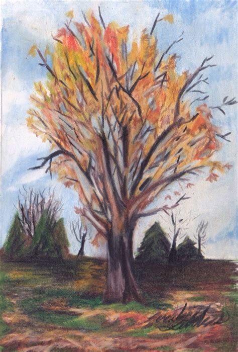 Fall Maple Tree original color pencil drawing in by LindseyJunkins