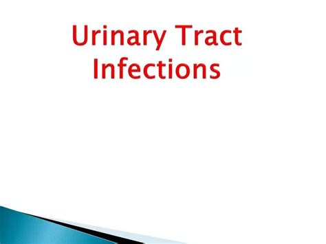 Ppt Urinary Tract Infections Powerpoint Presentation Free Download Id2224233