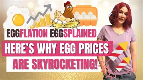 Here S Why Egg Prices Are Skyrocketing Eggflation Eggsplained Youtube