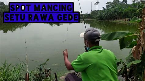 Mancing Setu Rawa Gede Airnya Ijo Lumut Ikannya Mujaer Patin