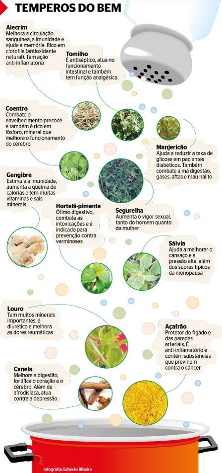 Benefícios Dos Temperos Naturais