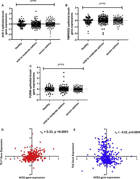 Ace Tmprss And Furin Gene Expression In The Airways Of People With