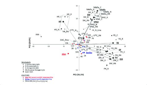 Genotype Trait Gt Biplot Analysis Of 22 Common Bean Genotypes For