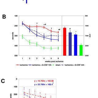 G Csf Improves Functional Outcome When Given As Late As H After