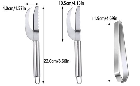 Longhao Pcs Grattoir Cailles De Poisson Caille De Poisson En