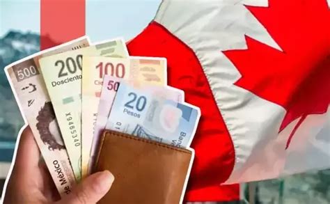 Vacantes en Canadá ofrecen hasta 40 mil pesos 2024 elyex