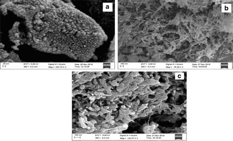 Sem Images Of A Ceo2 B Ceo2 Pani Hcl And C Ceo2 Pani Ptsa Composites