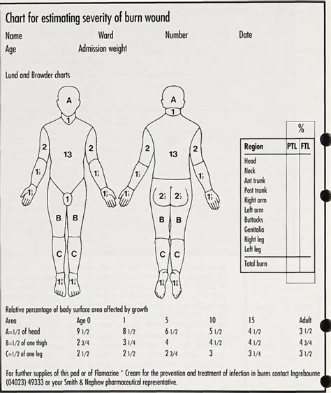 Burns Assessment Chart A Visual Reference Of Charts Chart Master