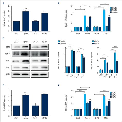 Figure 1 From Curcumol Controls Choriocarcinoma Stem Like Cells Self