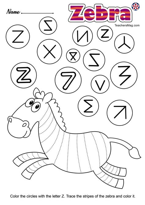 Letter Z Activity Worksheet