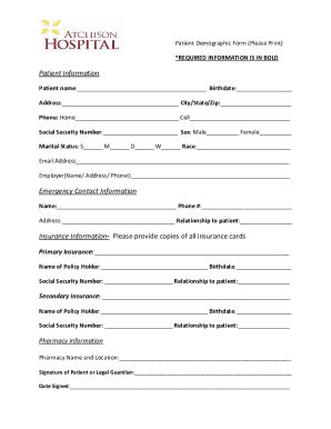 Fillable Online Patient Demographics And History Information