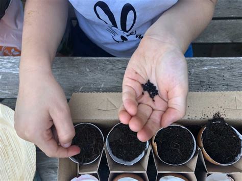 Pflanzen ziehen mit Kindern im Frühling Energieleben