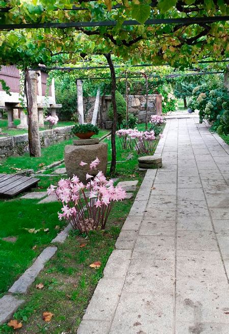 Pazo A Capitana Casa Rural En Cambados Pontevedra Galicia