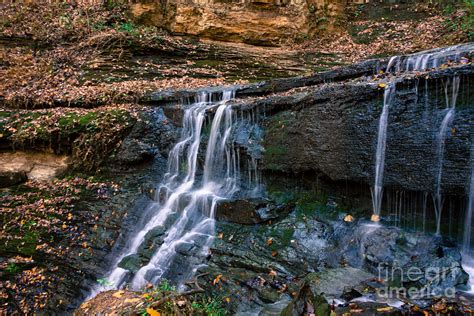 Jackson Falls Natchez Trace Photograph By Debra Martz Fine Art America