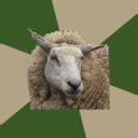 FUCK YEAH SOCIOLOGY STUDENT SHEEP