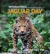 International Jaguar Day – November 29 – Ministry of Wildlife and ...