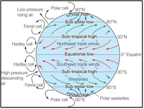 Global Atmospheric Circulation Flashcards Quizlet