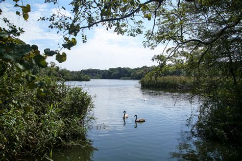 Suffolk Voters Approve Proposition 2 To Improve Water Quality