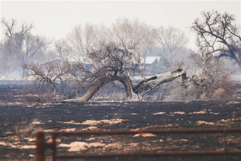 Texan Panhandle Wildfire Becomes Largest In States History