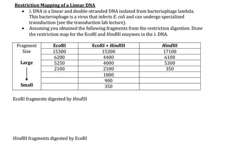 Solved Restriction Mapping Of A Linear DNA 2 DNA Is A Linear Chegg