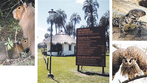 El Palmar naturaleza en su punto más alto