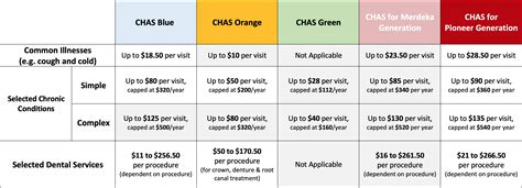 Complete Guide To The Community Health Assist Scheme Chas