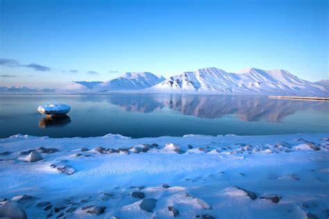 Our 26 Svalbard (Spitsbergen) Norway Cruises & Adventures