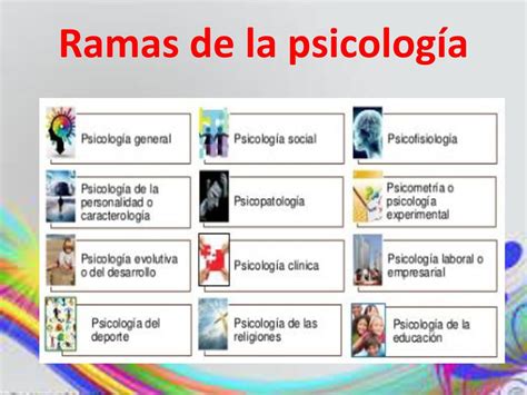 Cuales Son Las 4 Ramas De La Psicologia Ajore