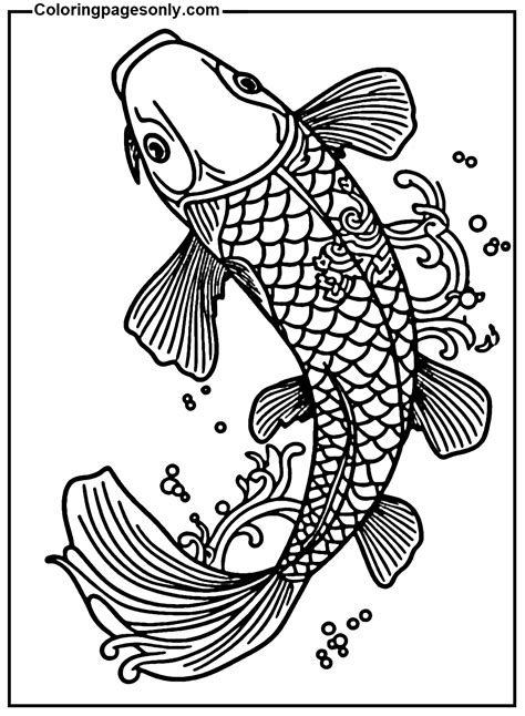 Koi Fish Coloring Page The Best Porn Website