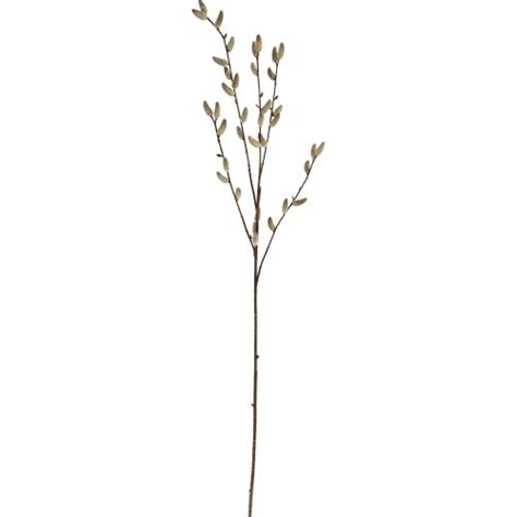 George Home Faux Pussy Willow Single Stem Compare Prices Where To Buy Trolley Co Uk
