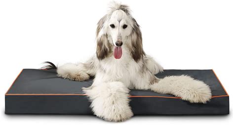 Waterproof Memory Foam Pet Bed Indooroutdoor Dog Bed With Water