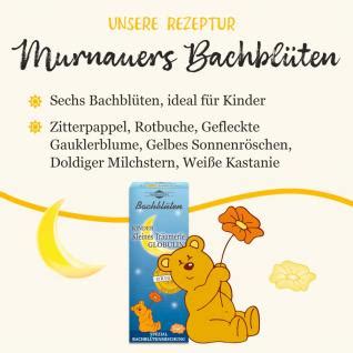 Murnauers Bachbl Ten Kinder Kleines Tr Umerle Globulini G Online