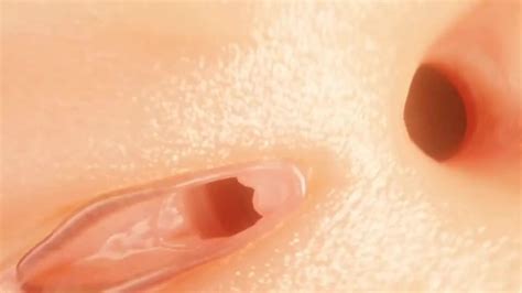 Anal Penis Vore Unbirth Vore Video ThisVid