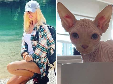 Ilary Blasi Ha Ritrovato Il Gatto Sphynx Grazie Allappello Social