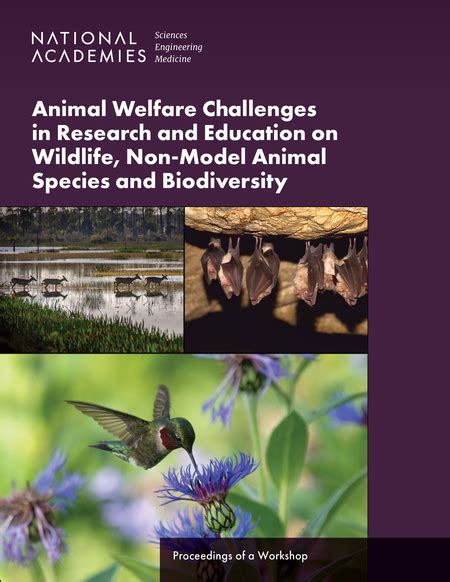 Animal Welfare Challenges in Research and Education on Wildlife, Non ...