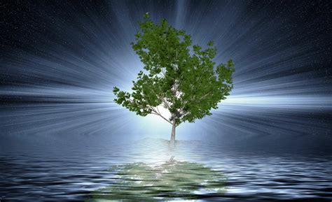 Download Tree, Water, Background. Royalty-Free Stock Illustration Image ...