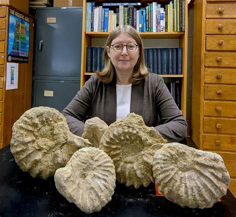 Fossils may hold clues to climate change, says BGSU paleobiologist ...