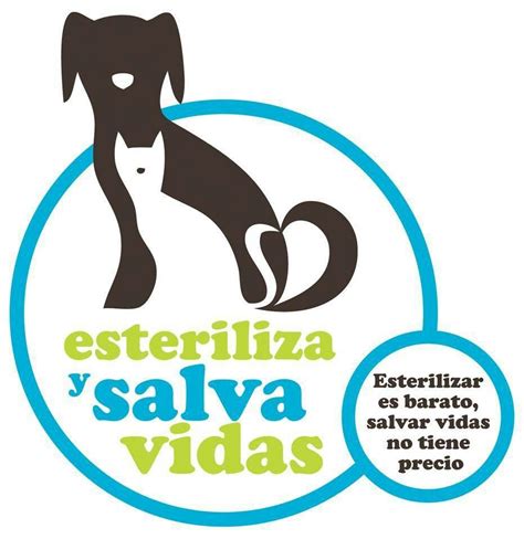 Esteriliza Y Salva Vidas Perros Gatos