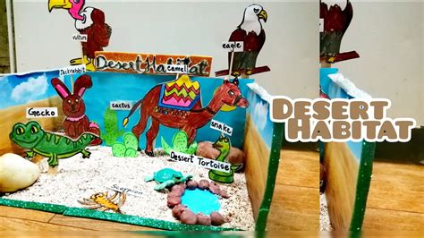 Desert Habitat Diorama Project